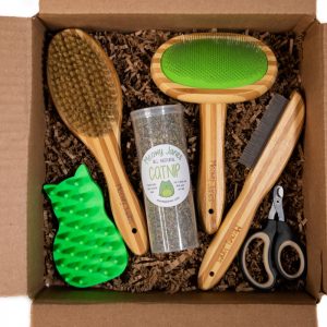 Short Hair Cat Grooming Set
