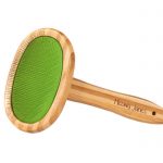Short Hair Cat Grooming Set