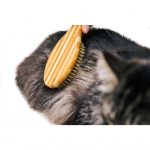 Bamboo Bristle Brush