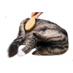 Bamboo Bristle Brush