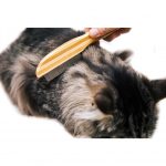 Bamboo Flea Comb